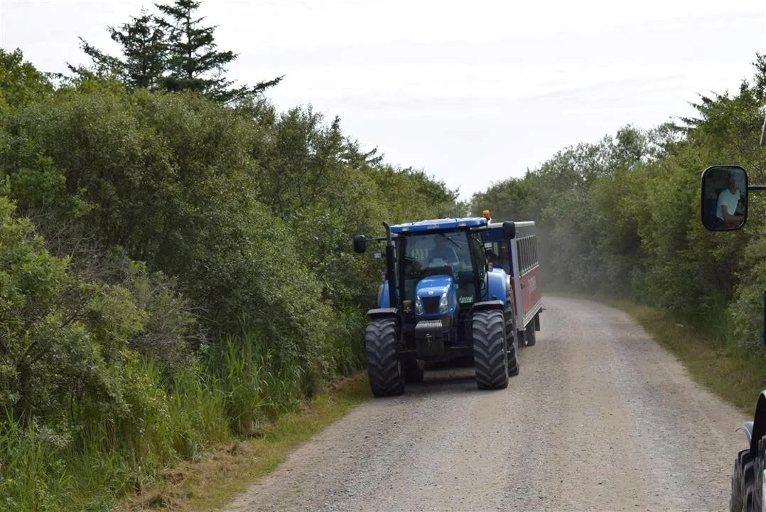 G22.2 grenen and the sandormen sat 22 jul (38)